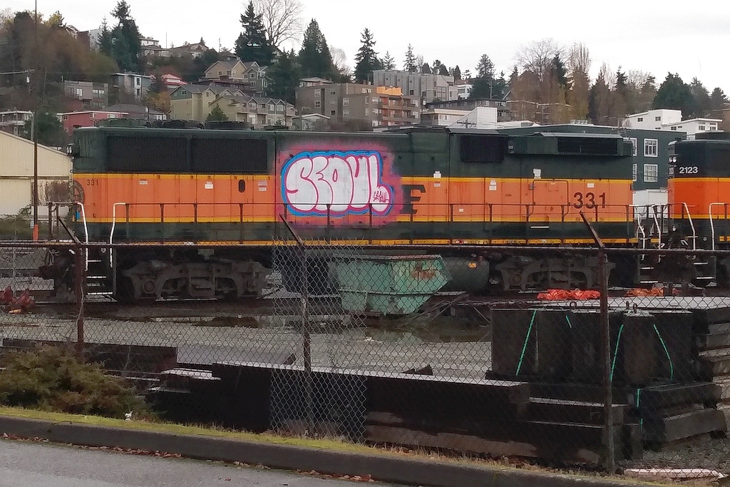 BNSF 331 cabless on the dead line